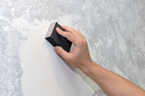 Best Mold Documentation for Insurance Claims  in Silver Springs, FL