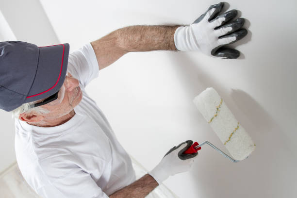 Best Mold Damage Restoration  in Silver Springs, FL