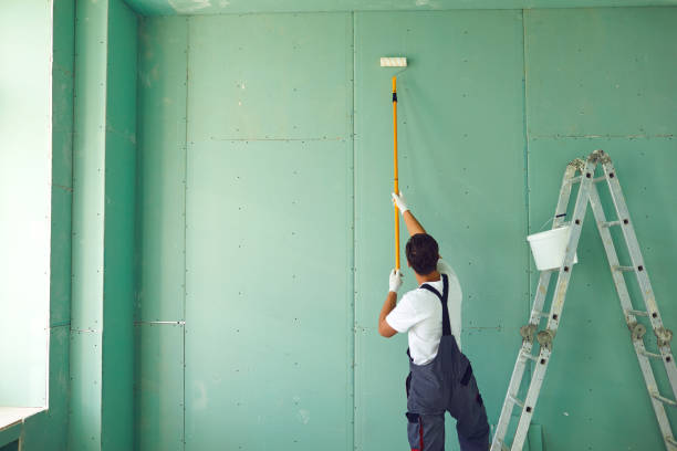Best Basement Mold Removal  in Silver Springs, FL