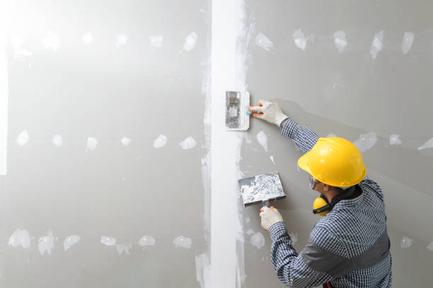 Best Mold-Related Health Consultation  in Silver Springs, FL
