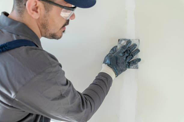 Best Air Quality Testing for Mold Spores  in Silver Springs, FL