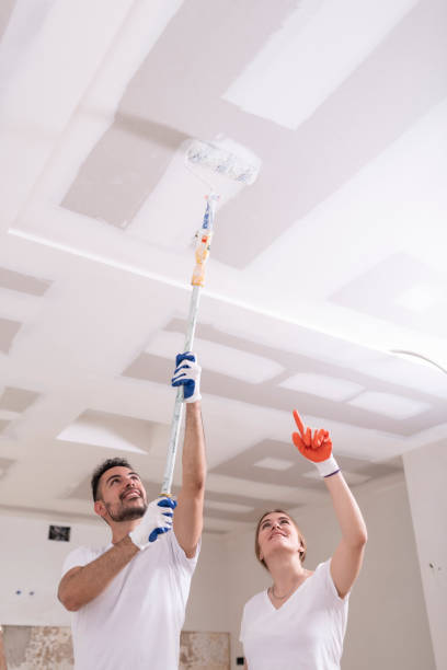  Silver Springs, FL Mold Removal Pros