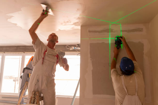 Best Commercial Mold Inspection  in Silver Springs, FL