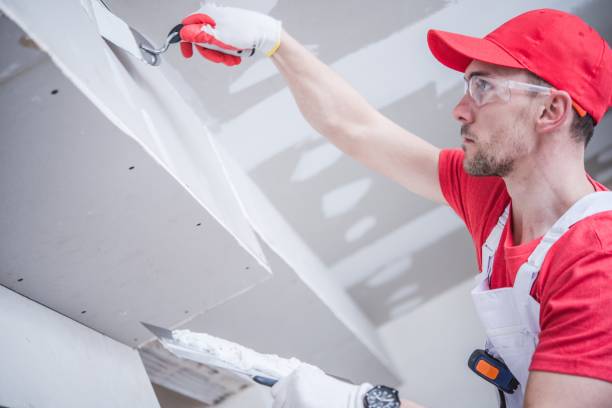 Best Biohazard Mold Removal  in Silver Springs, FL